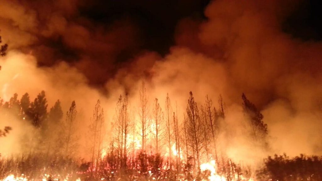 “Fighting forest fires with technology: How drones and infrared cameras could be game-changers”
